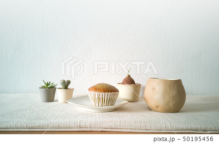 Collection of various potted cactus house plants Collection of various potted cactus house plants 50195456