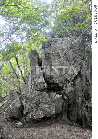 奥武蔵 棒ノ折山の岩茸石 50195509