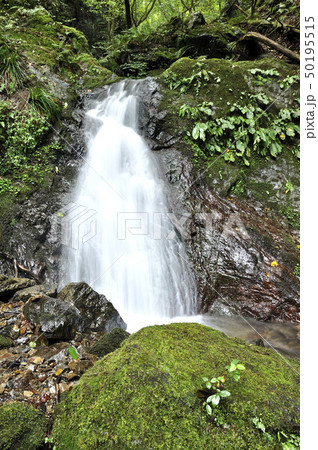棒ノ折山 白谷沢の渓流 50195515
