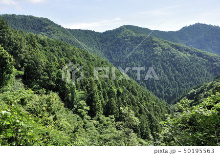 夏の岩茸石山と高水山の山容 夏の岩茸石山と高水山の山容 50195563