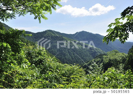 奥多摩 馬仏山より高水山 奥多摩 馬仏山より高水山 50195565