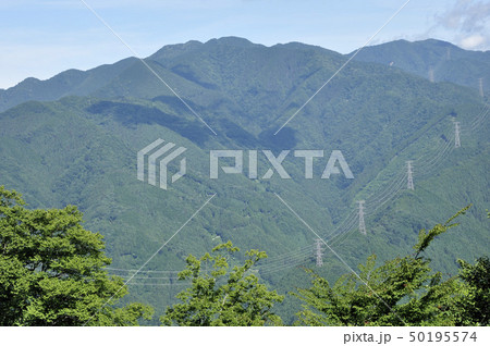 岩茸石山の山頂より望む川苔山 岩茸石山の山頂より望む川苔山 50195574