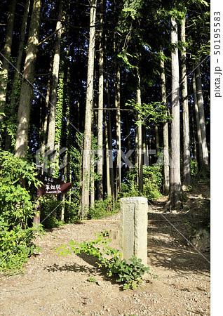 高水山の石標 高水山の石標 50195583