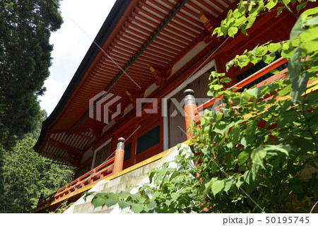 比叡山延暦寺横川　横川中堂 50195745