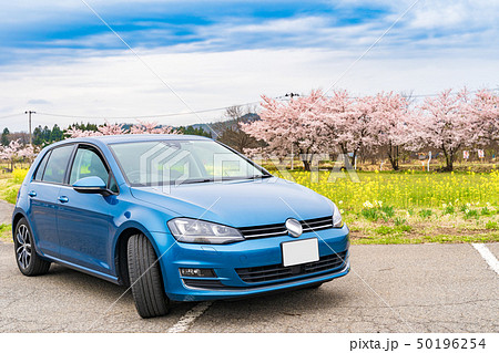 さくらとインポートカー 50196254