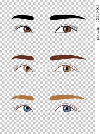 Illustration of the eye 50196462