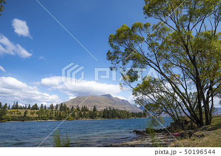 クイーンズランド ワカティプ湖の風景 クイーンズランド ワカティプ湖の風景 50196544