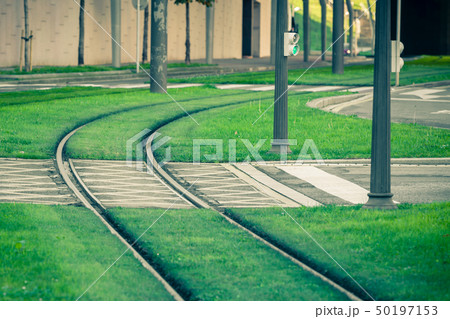 Tram rails covered with green grass 50197153