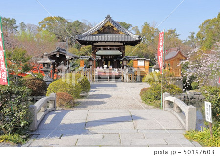 京都 神泉苑 善女竜王社 京都 神泉苑 善女竜王社 50197603