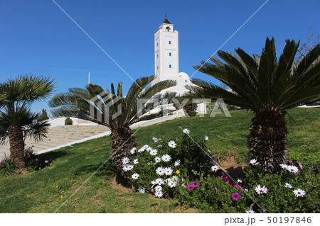 シディ・ブ・サイドの町並み チュニジア チュニス アフリカ シディ・ブ・サイドの町並み チュニジア チュニス アフリカ 50197846