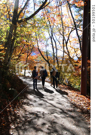 イタリア大使館別荘記念公園（栃木県・日光市） 50199501