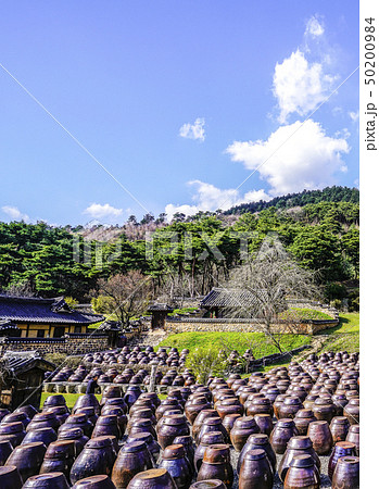 甕 論山市 忠南 50200984
