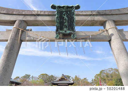京都　神泉苑 50201488