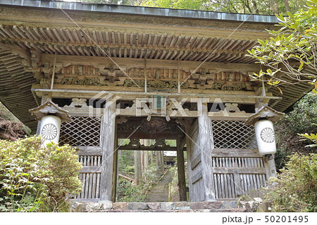 京都　志明院 50201495