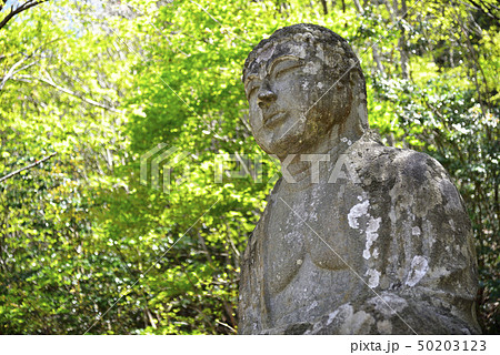 丹後大仏(京都府与謝郡伊根町) 丹後大仏(京都府与謝郡伊根町) 50203123