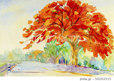 Watercolor landscape painting peacock flower red. Watercolor landscape painting peacock flower red. 50203315