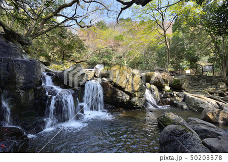 尼ン滝(兵庫県三田市) 尼ン滝(兵庫県三田市) 50203378