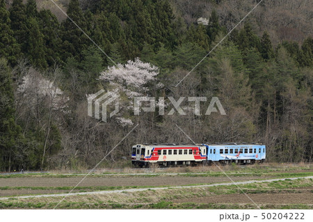 桜と三陸鉄道 桜と三陸鉄道 50204222