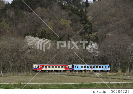 桜と三陸鉄道 桜と三陸鉄道 50204225