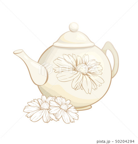 Porcelain Teapot and Tea cup with Mint Tea and Leaves. Isolated and Detailed. Porcelain Teapot and Tea cup with Mint Tea and Leaves. Isolated and Detailed. 50204294