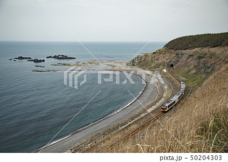 リゾートしらかみ 50204303