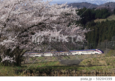 桜と山形新幹線 50204399