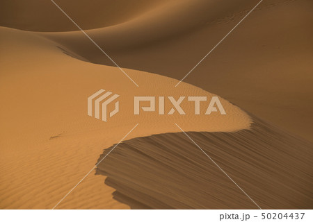 Sand desert pattern 50204437