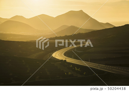 Road between La Geria vineyards in golden light 50204438