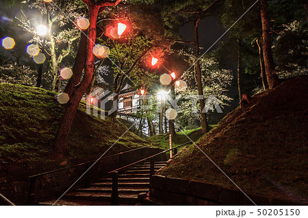 春の久保田城の長坂門跡の風景 50205150