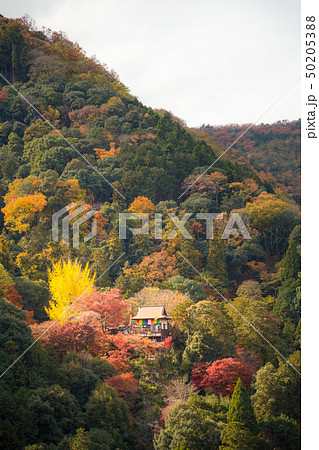 大河内山荘の秋、大堰川の対岸に嵐山中腹の千光寺を臨む 50205388