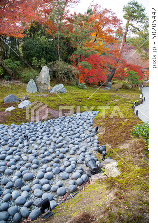 天龍寺塔頭・宝厳院前の嵐山羅漢石像群と紅葉 天龍寺塔頭・宝厳院前の嵐山羅漢石像群と紅葉 50205442