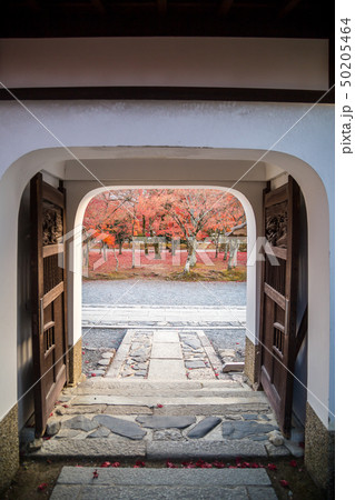 天龍寺の秋、塔頭・慈済院の唐様門から境内の紅葉を臨む 50205464