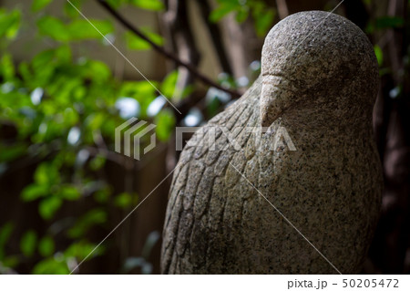 大豊神社の春、狛鳶 大豊神社の春、狛鳶 50205472