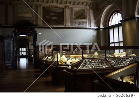自然史博物館(無人の館内) 50206297