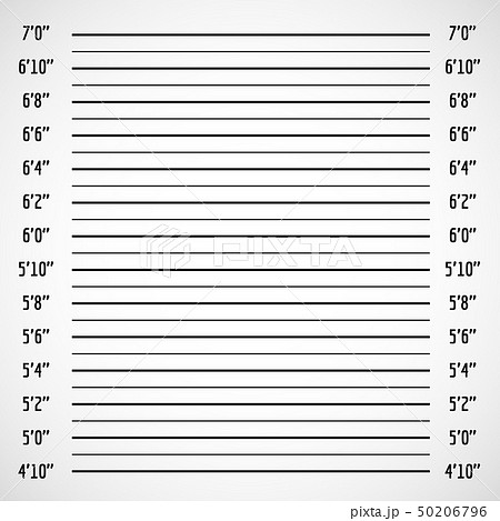 Blank Criminal Police Lineup Or Mug Shot Vector Stock Illustration