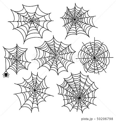 Halloween spider web vector set. Cobweb decoration elements isolated Halloween spider web vector set. Cobweb decoration elements isolated 50206798