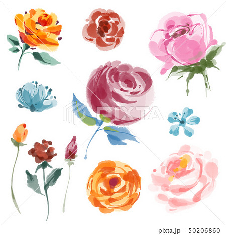 Set of bordo burgundy rose and little blue flowers with green leaves. Watercolor elements for 50206860
