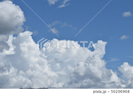 『 くじら雲 』 50206908