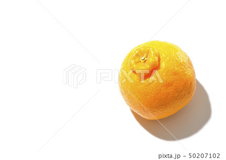 デコポン 50207102