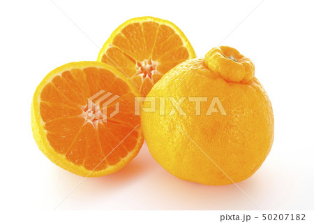 デコポン 50207182