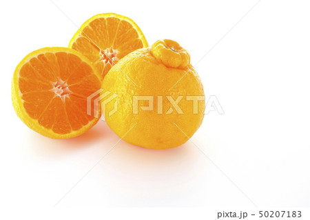 デコポン 50207183