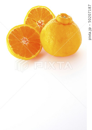 デコポン 50207187