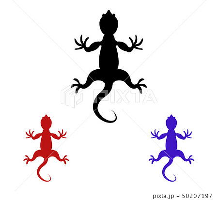 lizard icon lizard icon 50207197