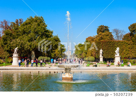 Jardin des Tuileries garden, Paris Jardin des Tuileries garden, Paris 50207239