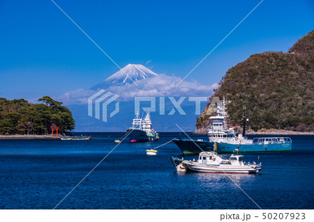 (静岡県)西伊豆戸田から望む富士山 (静岡県)西伊豆戸田から望む富士山 50207923