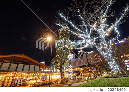 天王寺公園から見るあべのハルカスの夜景 50208466