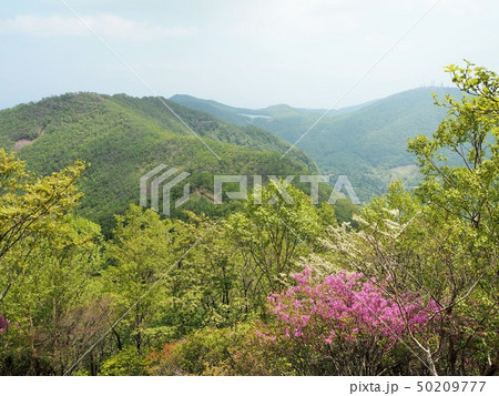 群馬県・赤城山 群馬県・赤城山 50209777