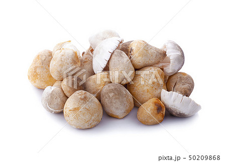 Straw mushrooms isolated on white background 50209868