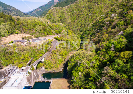 （東京都）新緑の奥多摩湖　小河内ダム　下流 50210141