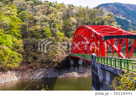 （東京都）新緑の奥多摩湖　峰谷橋 50210441